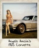 Photo Of Angelo Amoia's 1965 Corvette